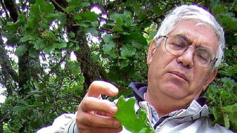 Sassari, l’Università piange il professor Ignazio Camarda: aveva 79 anni