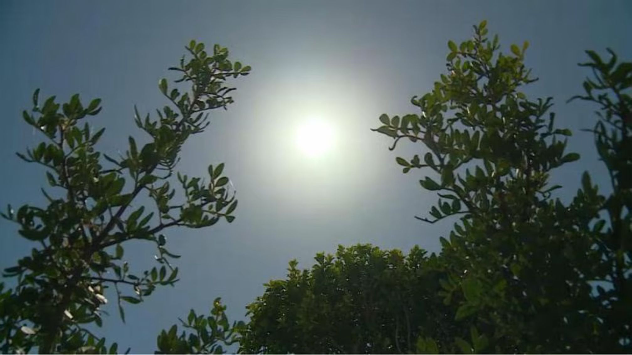 Meteo, in Sardegna bel tempo per tutta la settimana